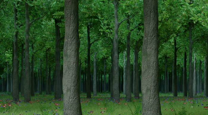 Human Drop Off Forest - Lord of the Dragons